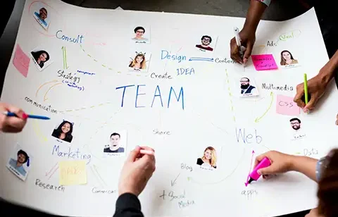 Team Structure